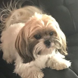 Meet your Posher, Mayra